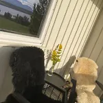 Apartment Northern Light - Lyngen Veidal
