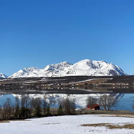 Northern Light - Lyngen