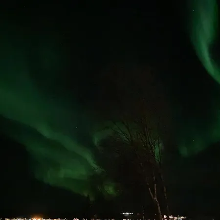 شقة Northern Light - Lyngen