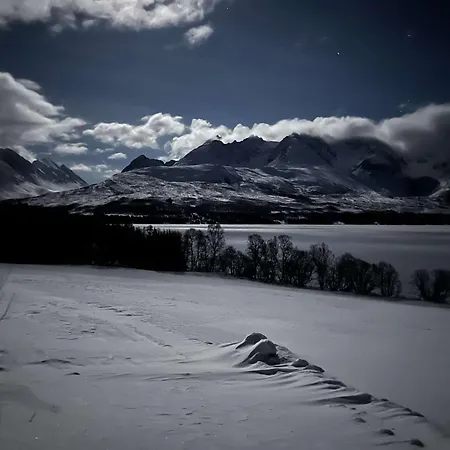 Northern Light - Lyngen شقة *