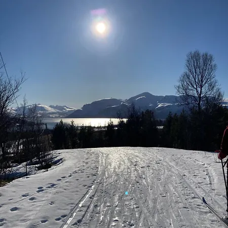 Northern Light - Lyngen *
