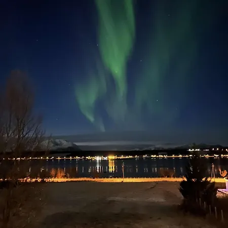 Northern Light - Lyngen Veidal