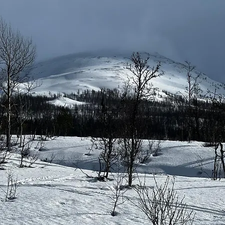 Northern Light - Lyngen * Veidal