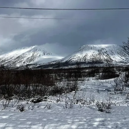 Northern Light - Lyngen