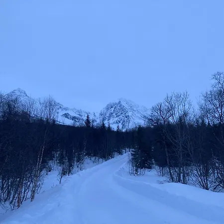 Northern Light - Lyngen Apartment *