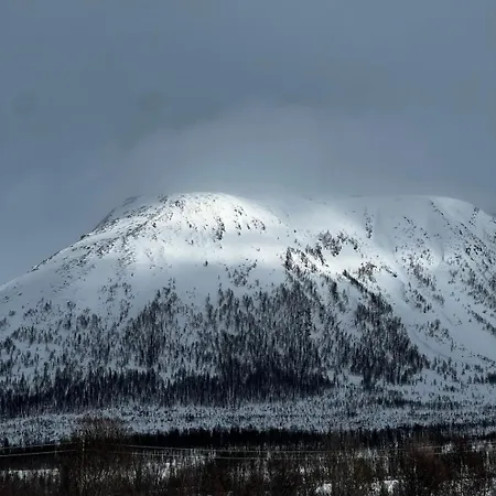 Northern Light - Lyngen Veidal