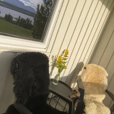 Appartement Northern Light - Lyngen Veidal