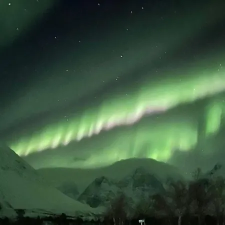 Northern Light - Lyngen *