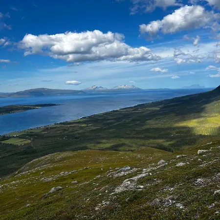 Northern Light - Lyngen Veidal