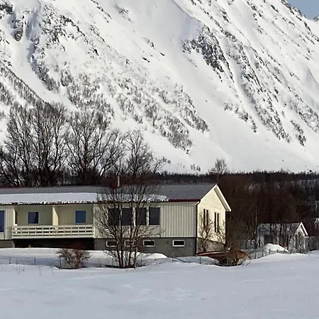 Northern Light - Lyngen Veidal